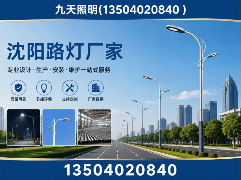 苏家屯区沈阳路灯厂家展示图